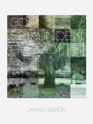 cover image of 30 Sekunden fremd